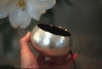 PO image1